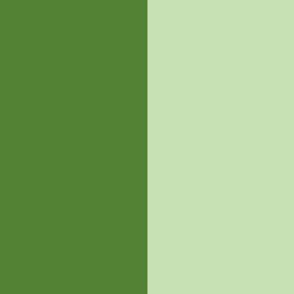 Chrome oxide green CG4