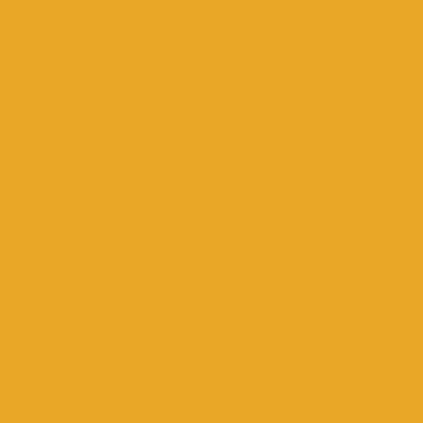 VYNAMON Yellow 119101 (PY 191)